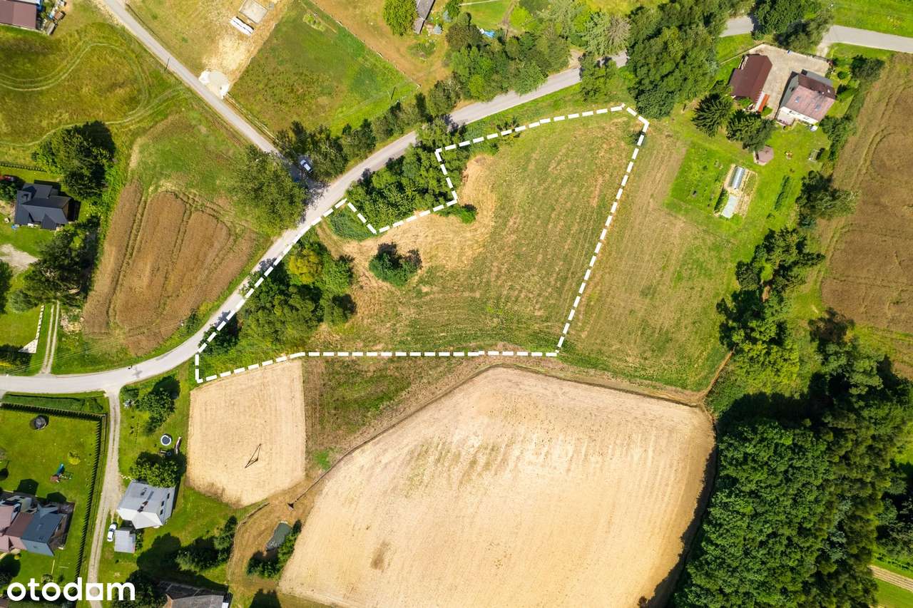 Burzyn, gm. Tuchów działka 57 ar – budowlana - Pełny obrazek: 4/16