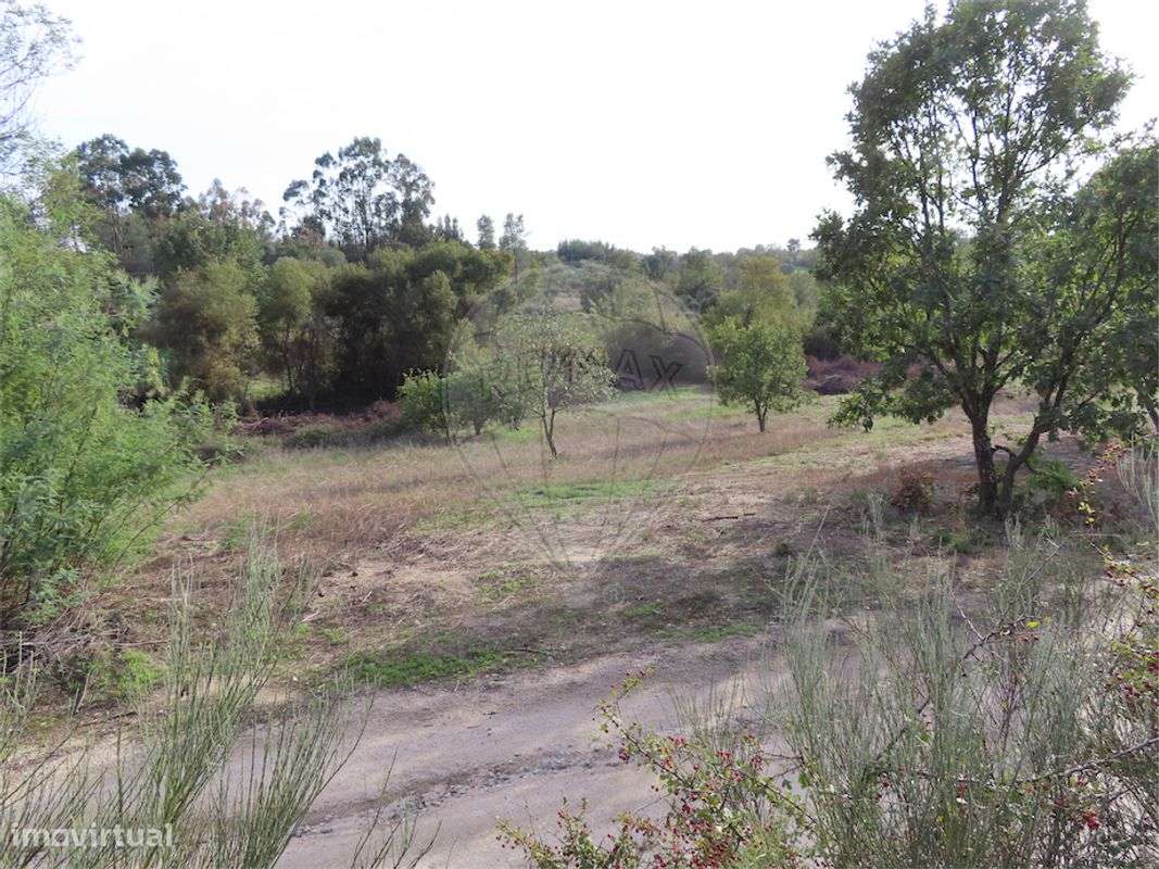 Quinta  para venda - Grande imagem: 3/25