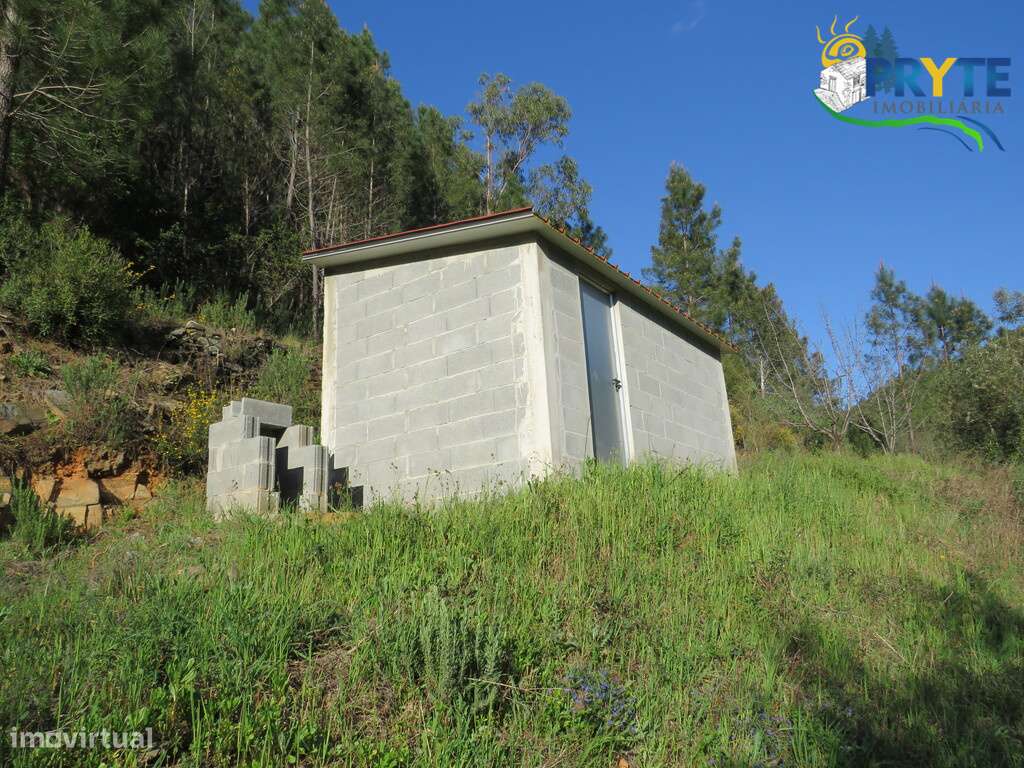 Terreno de cultivo a confinar com a Ribeira da Tamolha - Grande imagem: 3/14