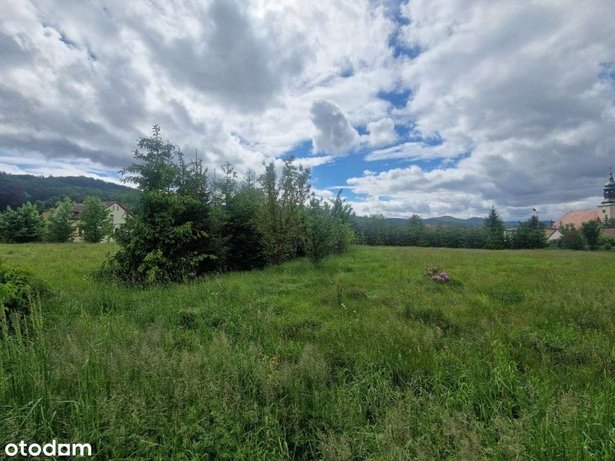 Działka z widokiem na Śnieżne Kotły i Chojnik - Pełny obrazek: 5/9