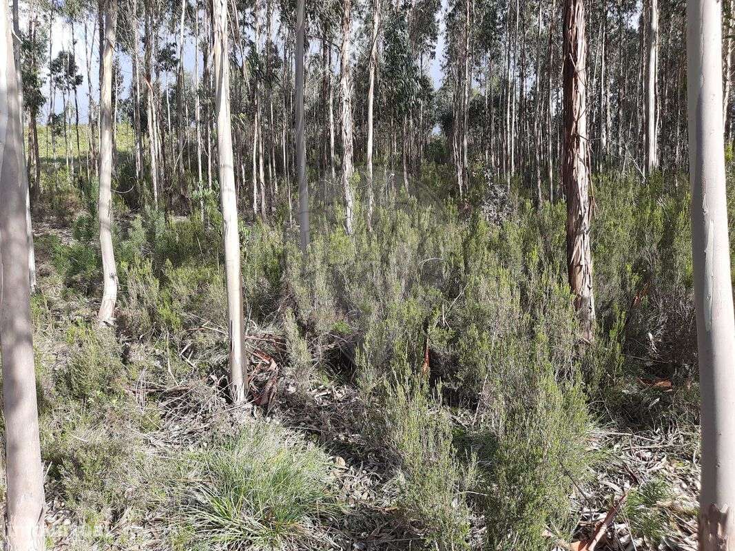 Terreno  para venda - Grande imagem: 3/18