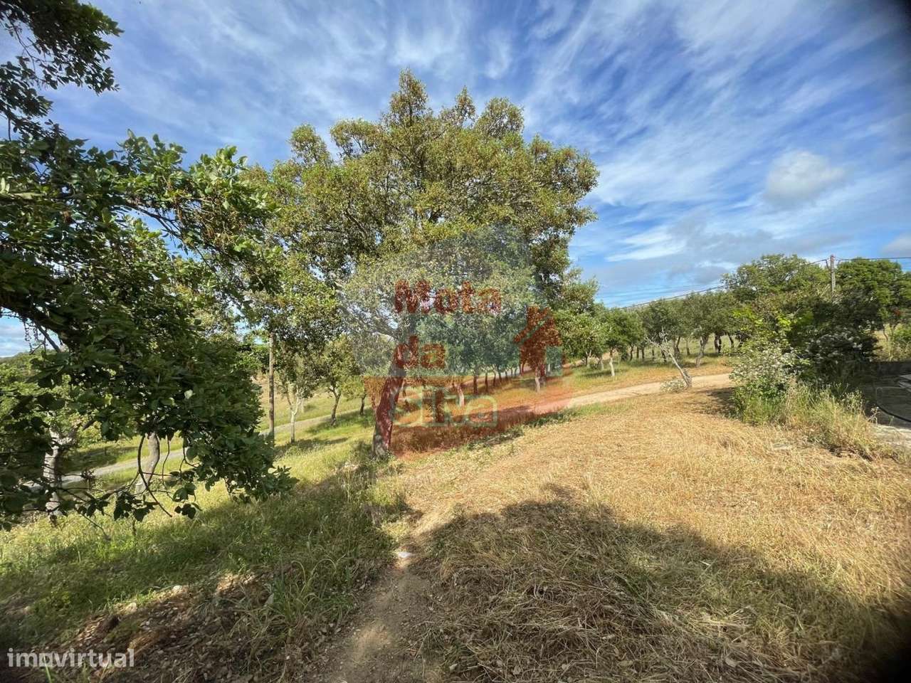Quinta com 3,9 ha e Vista Mar em São Francisco da Serra-11