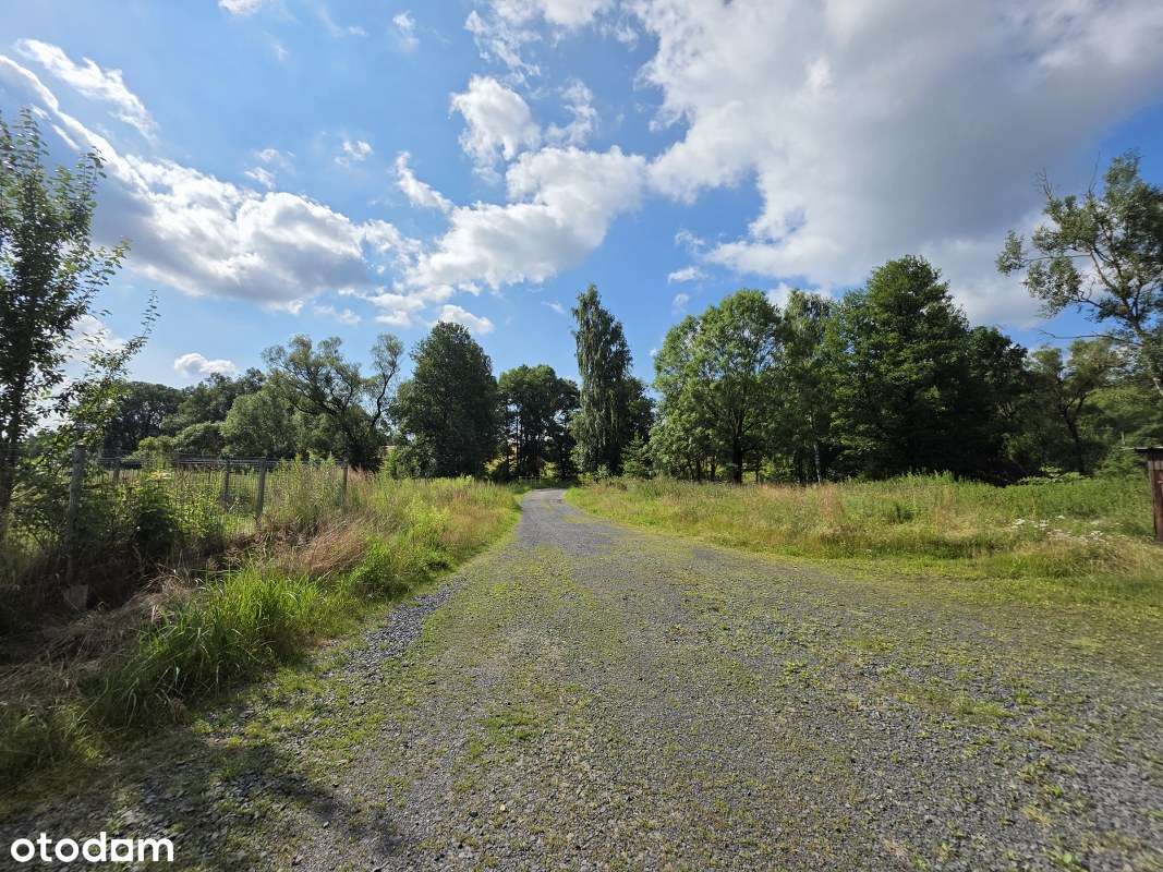 Udziały w Kamienicy oraz działka-5