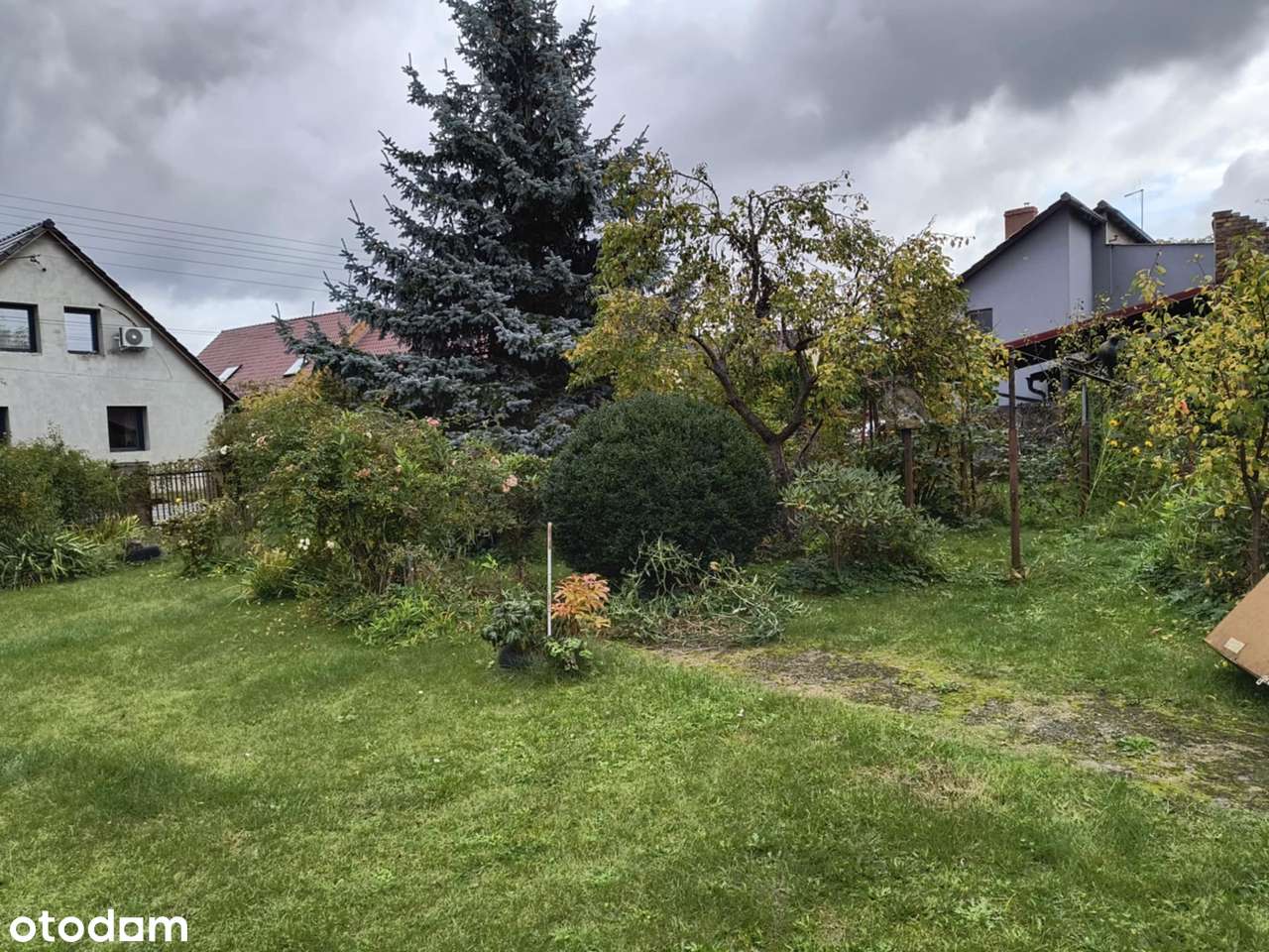 Dom z gruntem 1,6 ha  i pod działalność– Budziechów-4