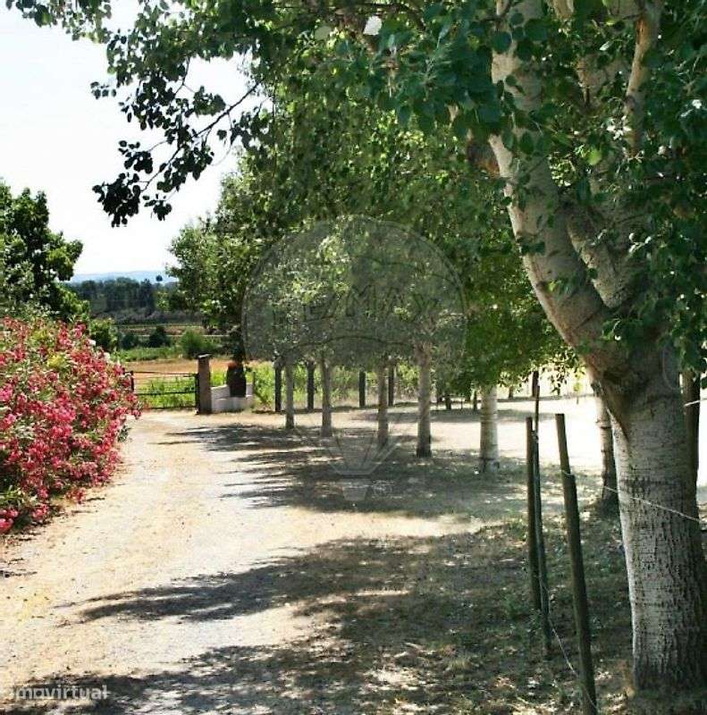 Moradia T10 para venda-10