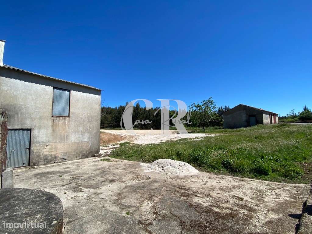 Terreno para arrendamento junto à N236-1 com anexos/garagens - Grande imagem: 5/15