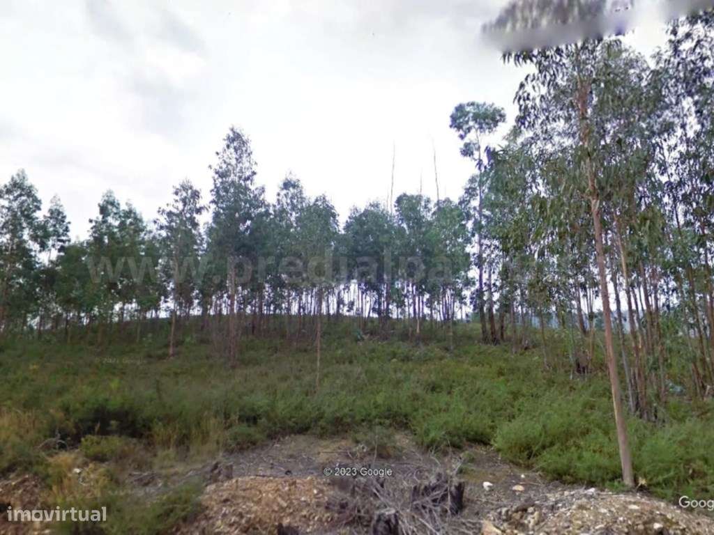 Terreno rústico para venda, Melres-6