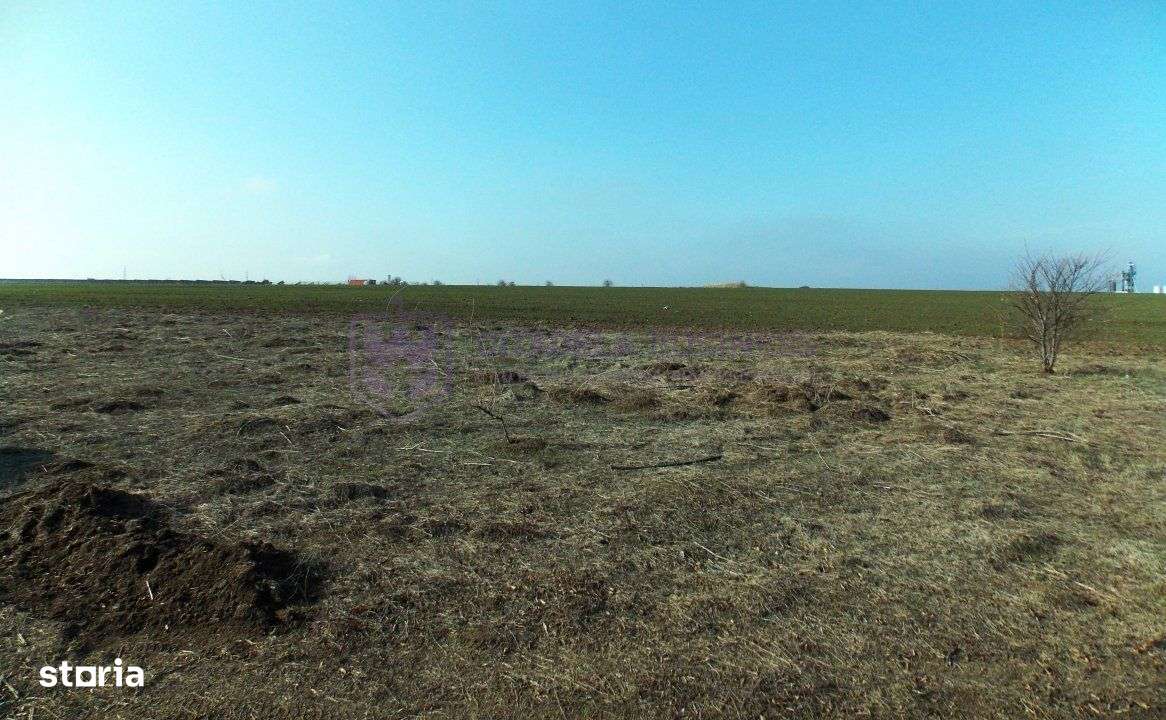 OVIDIU - ACADEMIE - Teren intravilan 674 mp pentru una sau doua case!-2