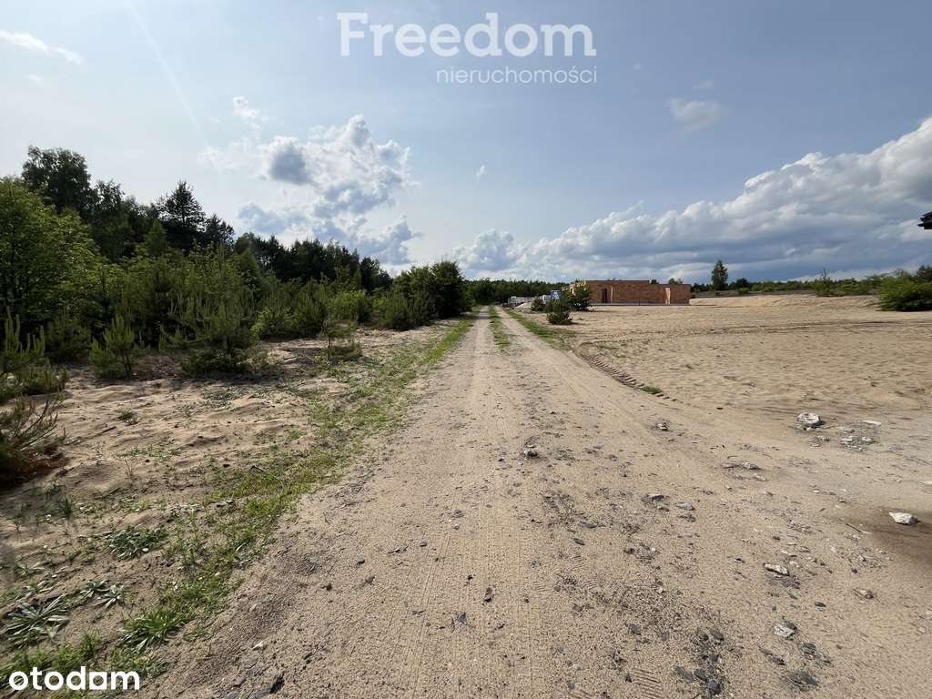 Działka w sąsiedztwie lasu Górsk/Czarne Błoto - Pełny obrazek: 4/6