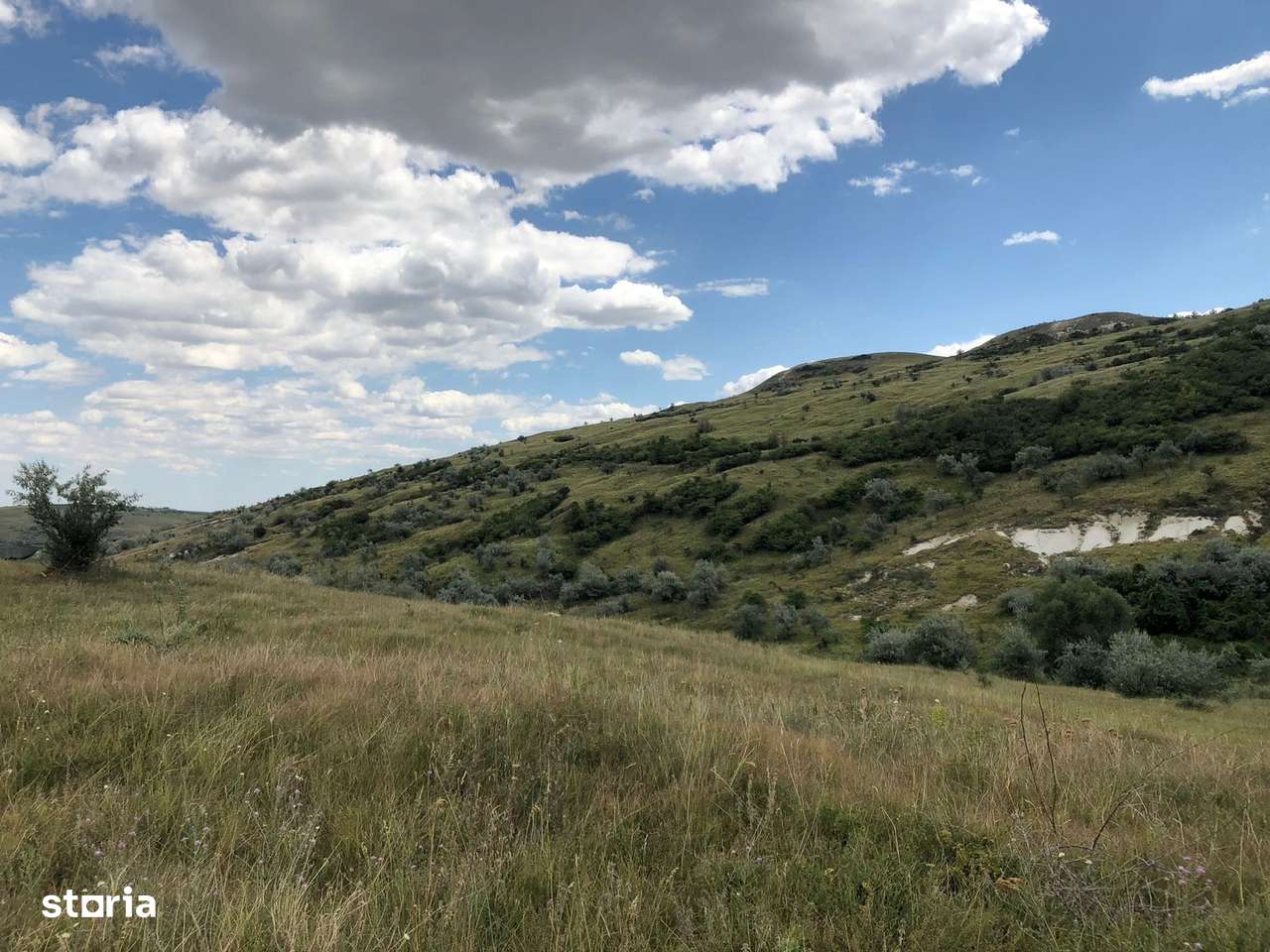 Vanzare 50 Ha pasune, judetul Prahova - Imagine principală: 5/14