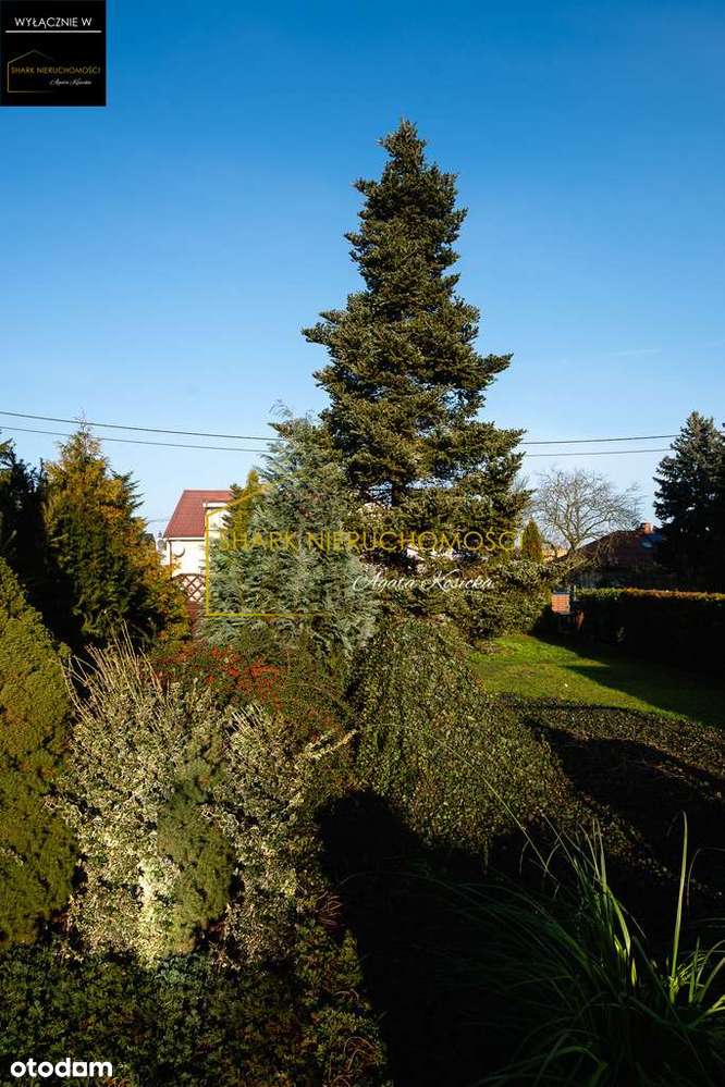 Działka budowlana z domkiem 66m2 - Pełny obrazek: 2/17