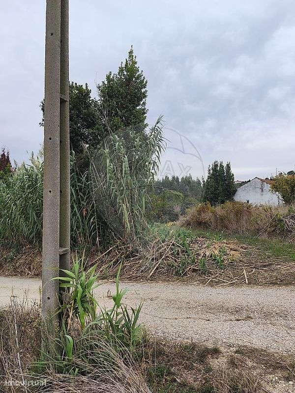 Terreno  para venda - Grande imagem: 4/5