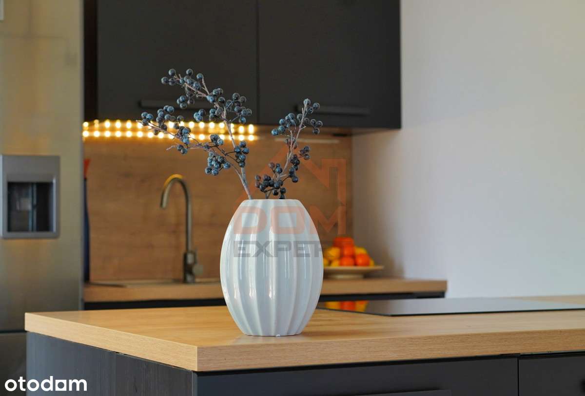 Nowoczesny apartament 66 m2 niedaleko Brdy - Pełny obrazek: 3/12