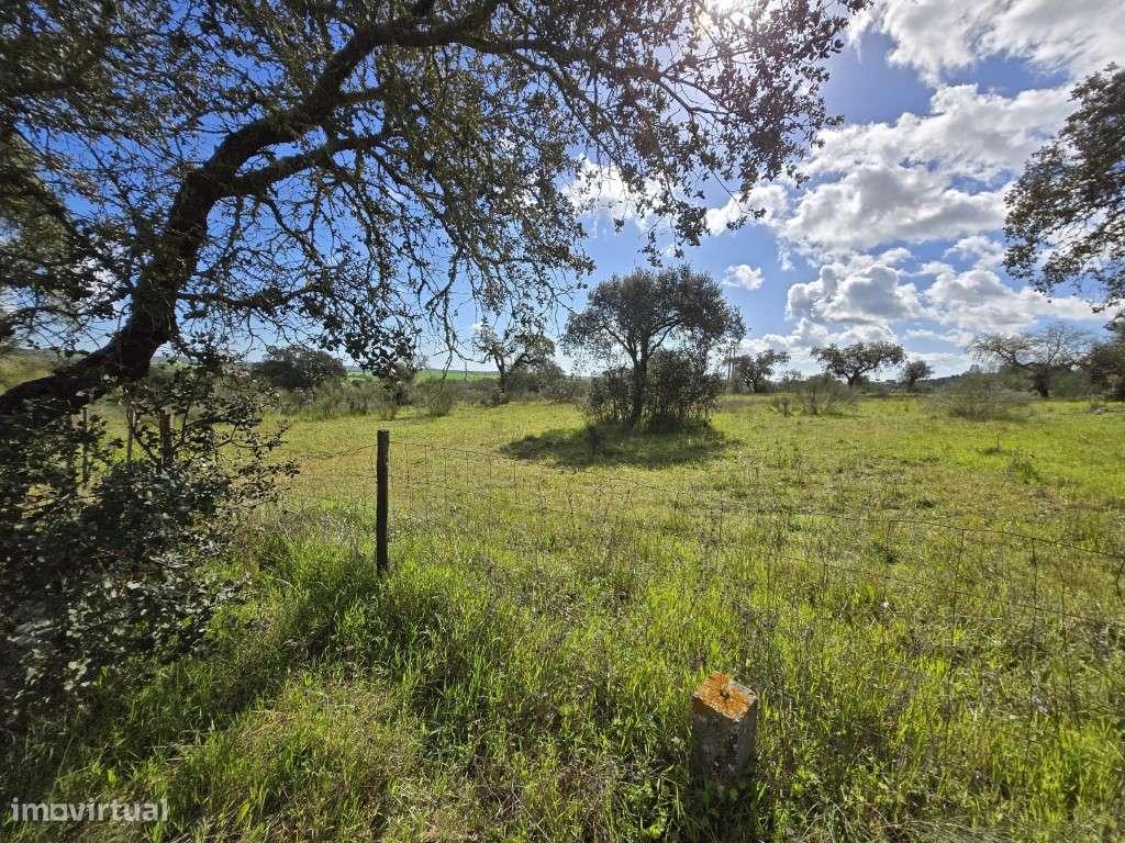 Terreno Rústico Junto à Barragem de Lucefecit, em Terena - Grande imagem: 2/15