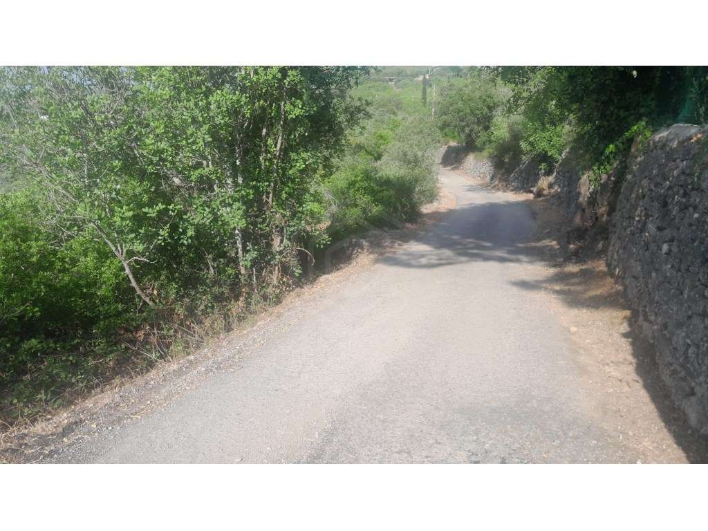 Terreno Rútico com 1570m2, Boliqueime, Loulé - Grande imagem: 4/12