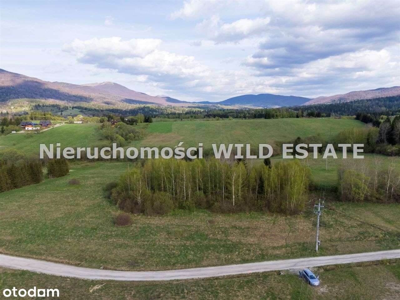 Działka, 13 196 m², Cisna - Pełny obrazek: 4/12