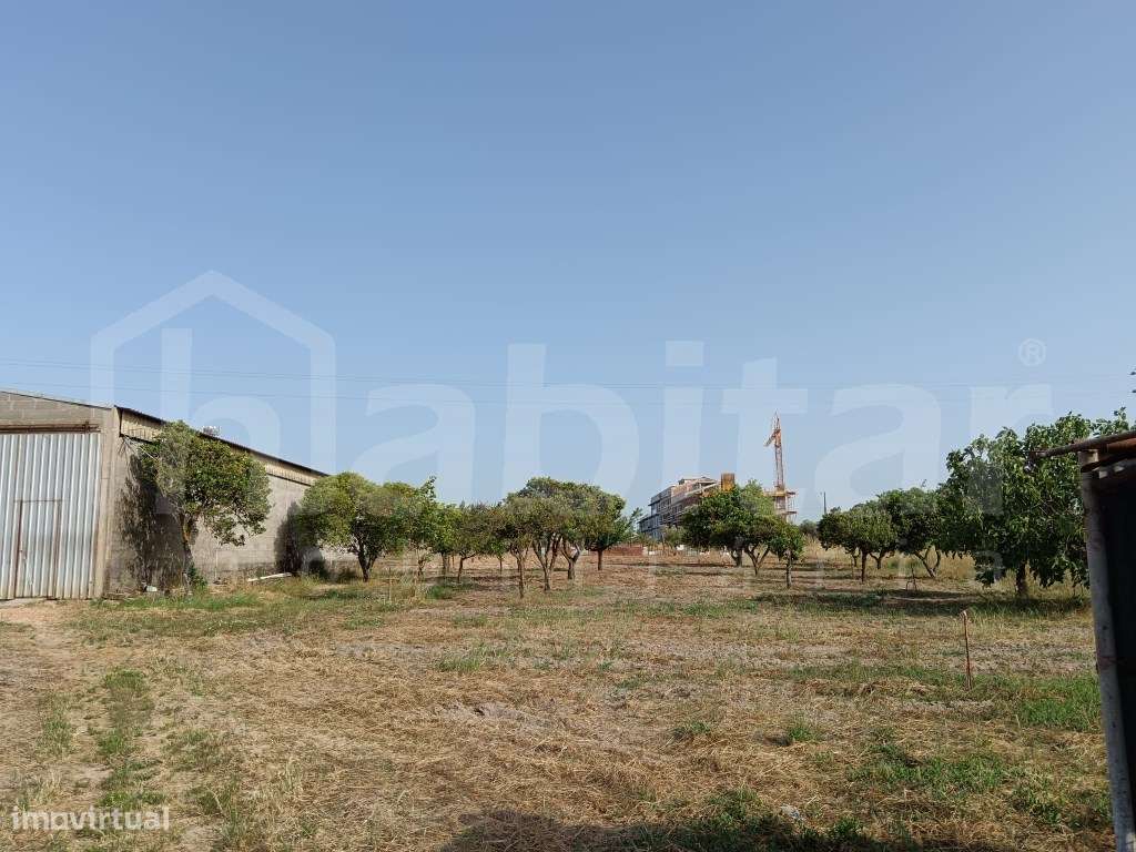 Terreno Urbano com 3.893 m², com Armazém com 288 m² - Benavente-4