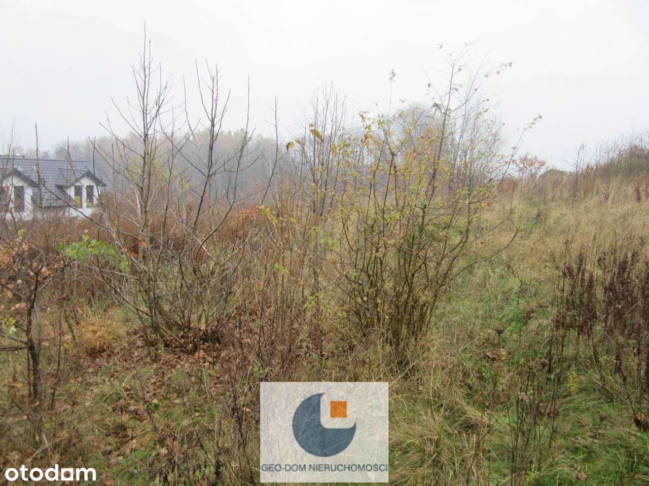 Działka z widokiem na Lasy-6