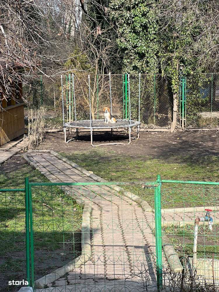 DGM Imobiliare: Proprietate superba cu deschidere in Gradina Botonica-8