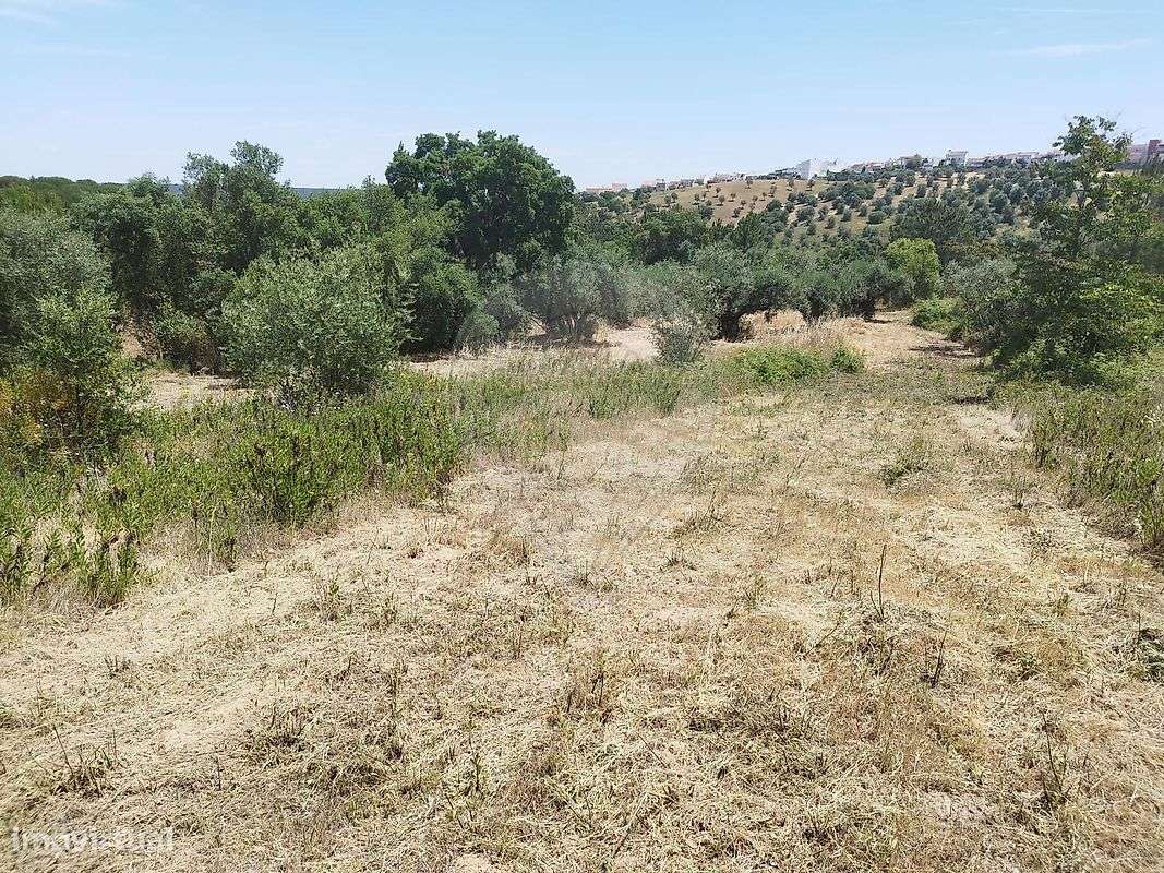 Terreno  para venda - Grande imagem: 5/17