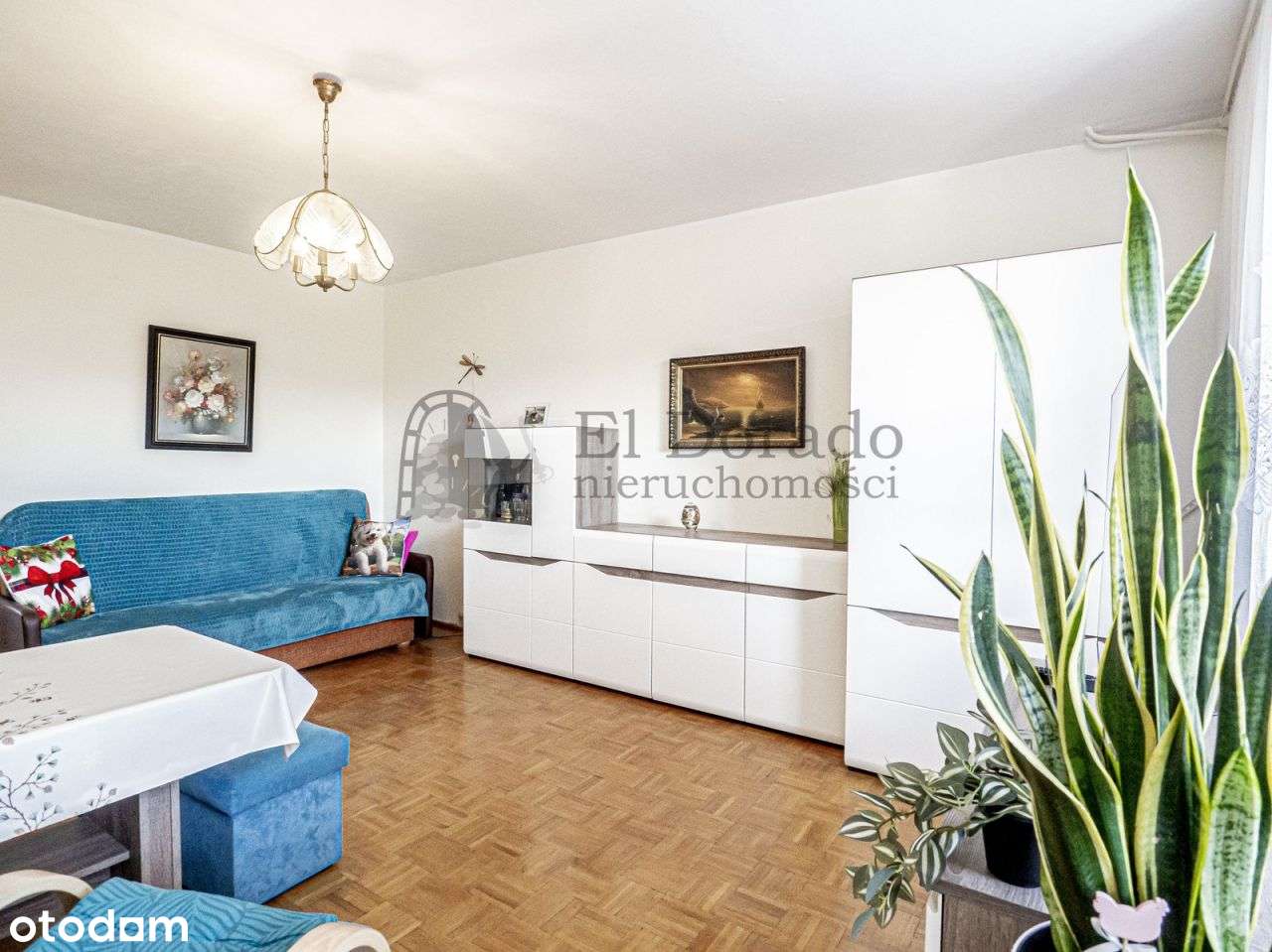 Przestronne mieszkanie z przepieknym balokem wśród-1