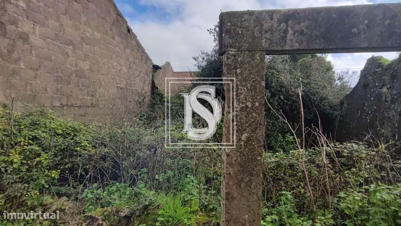 Ruína em Outeiro Grande - Grande imagem: 5/17