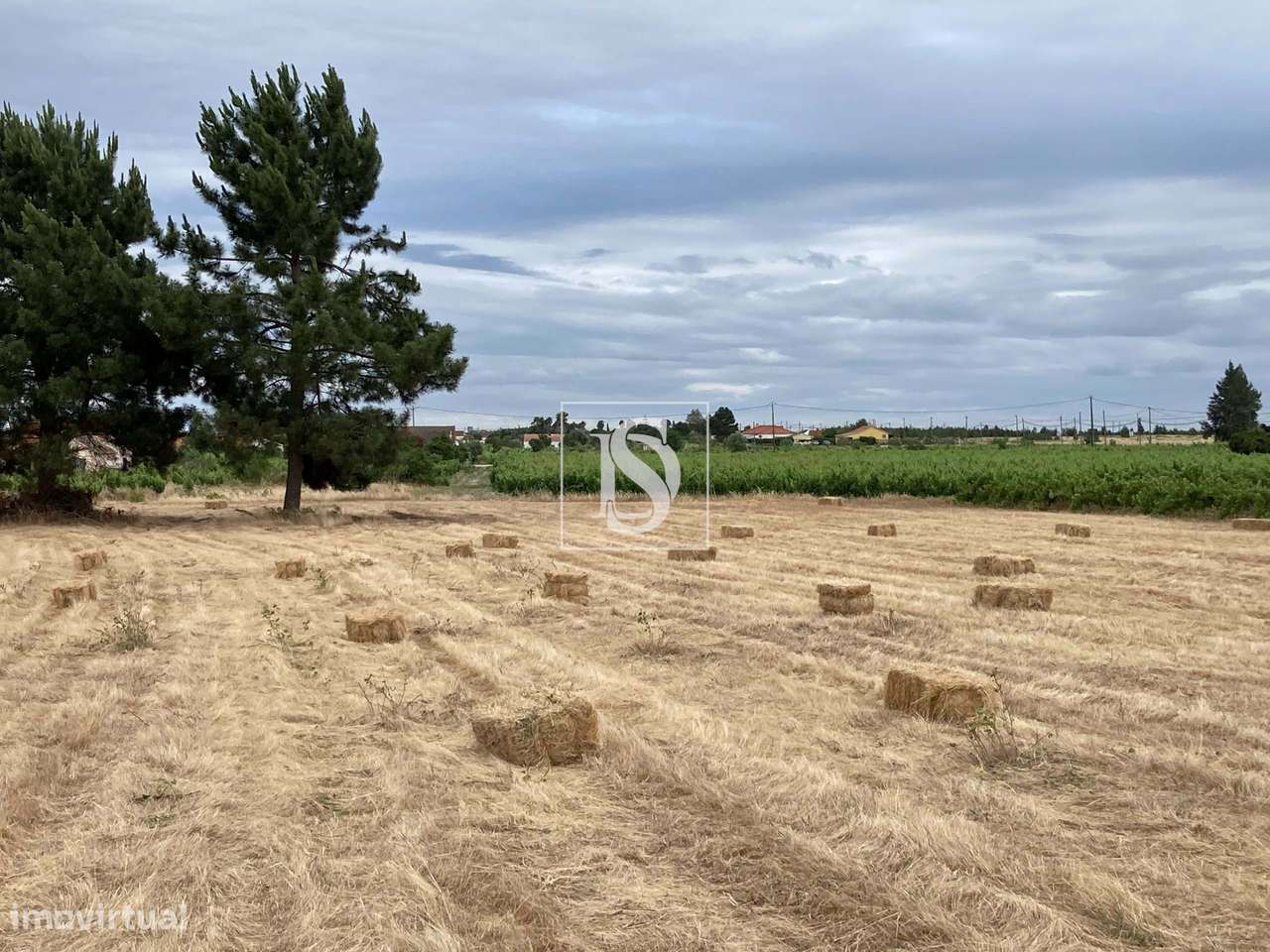 Terreno de 4.172 m² em Palmela | Ideal para Moradia | Zona Tranquila c-16