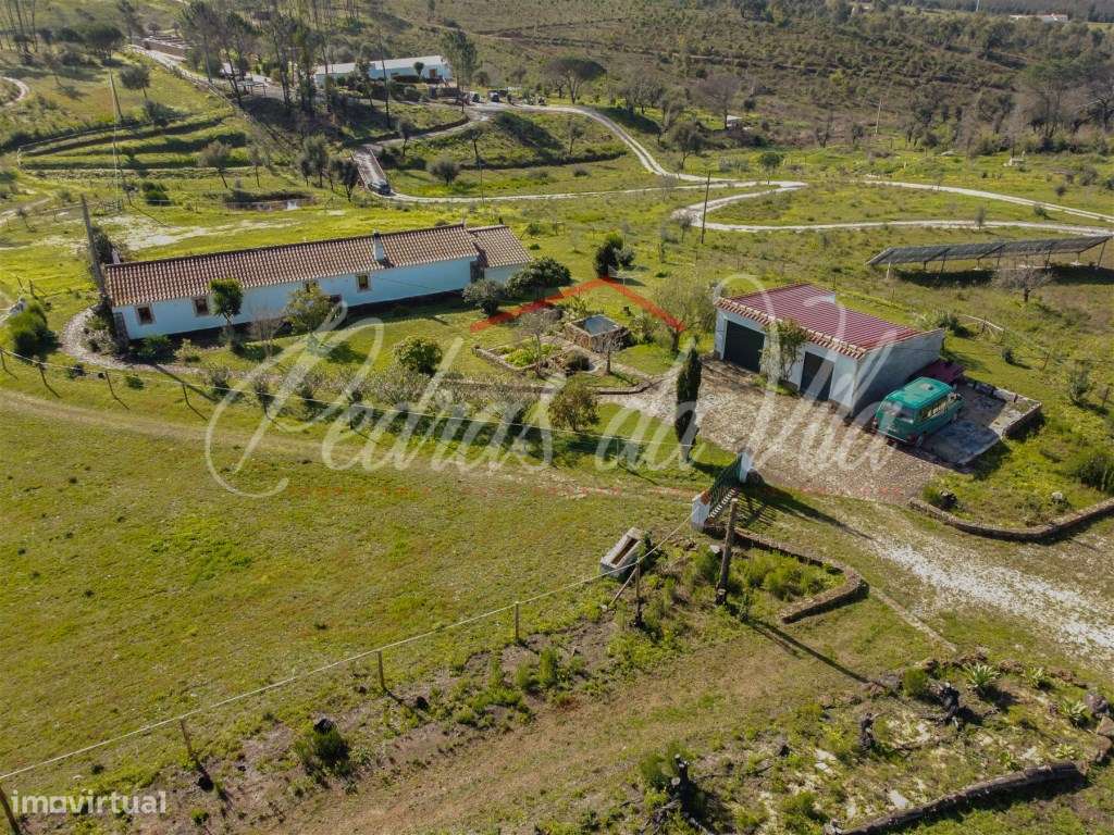 Quinta com 6,5ha em Vale Juncal - São Teotónio-35