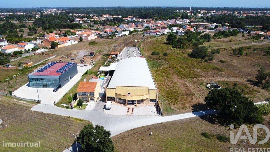 Armazém em Mira de 924,00 m2 - Grande imagem: 3/30