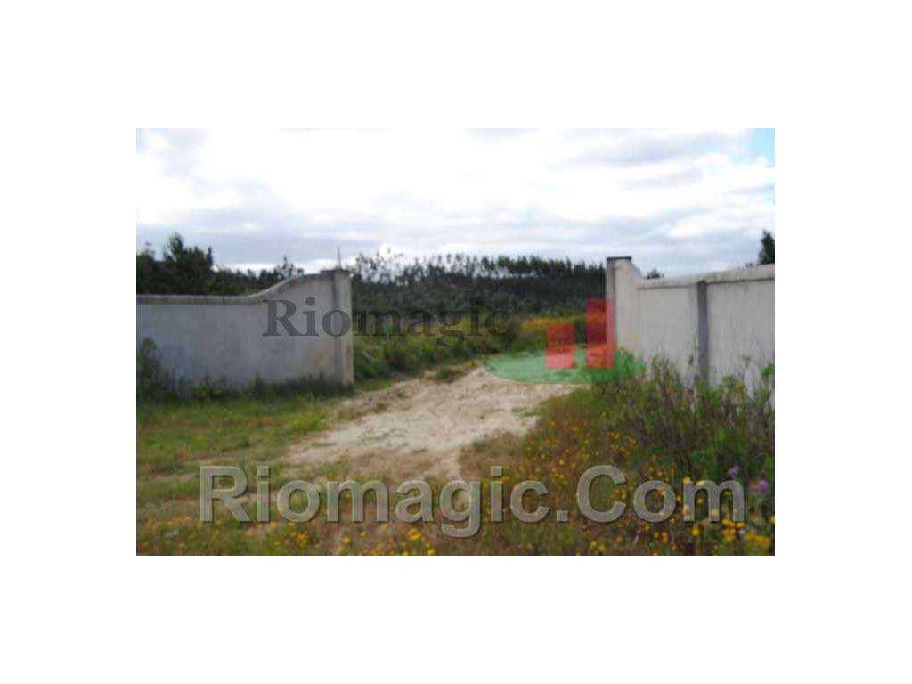 Terreno - Rio Maior***RIOMAGIC*** - Grande imagem: 3/15