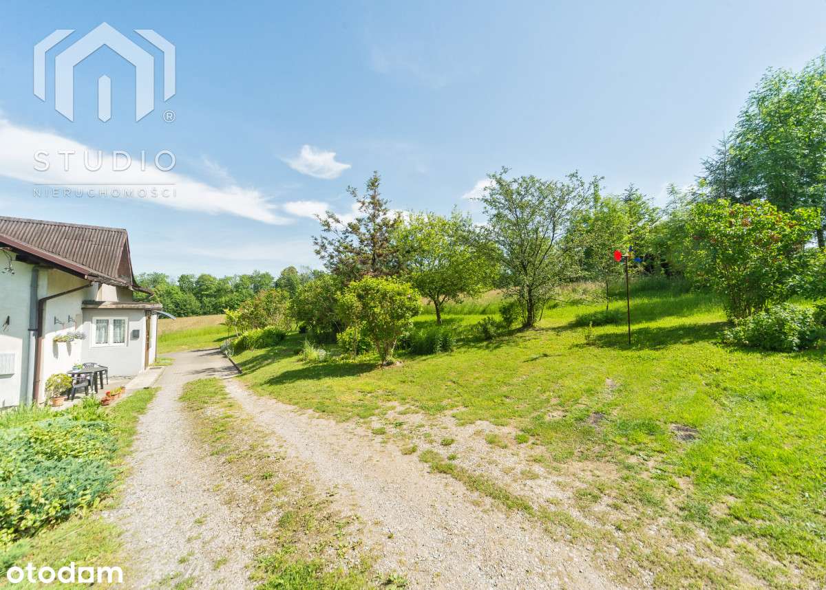 Działka Inwestycyjna - Usługi I Wytwórczość - Pełny obrazek: 4/20