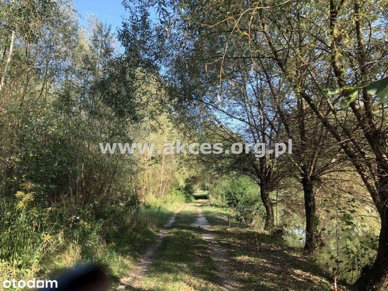 Bliskie okolice Grodziska Maz. działka budowlana - Pełny obrazek: 4/5