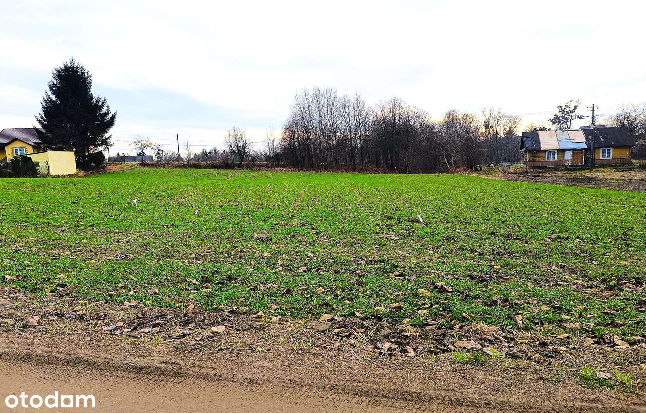 Działki Dębowiec, 10 km od Zamościa - Pełny obrazek: 5/16