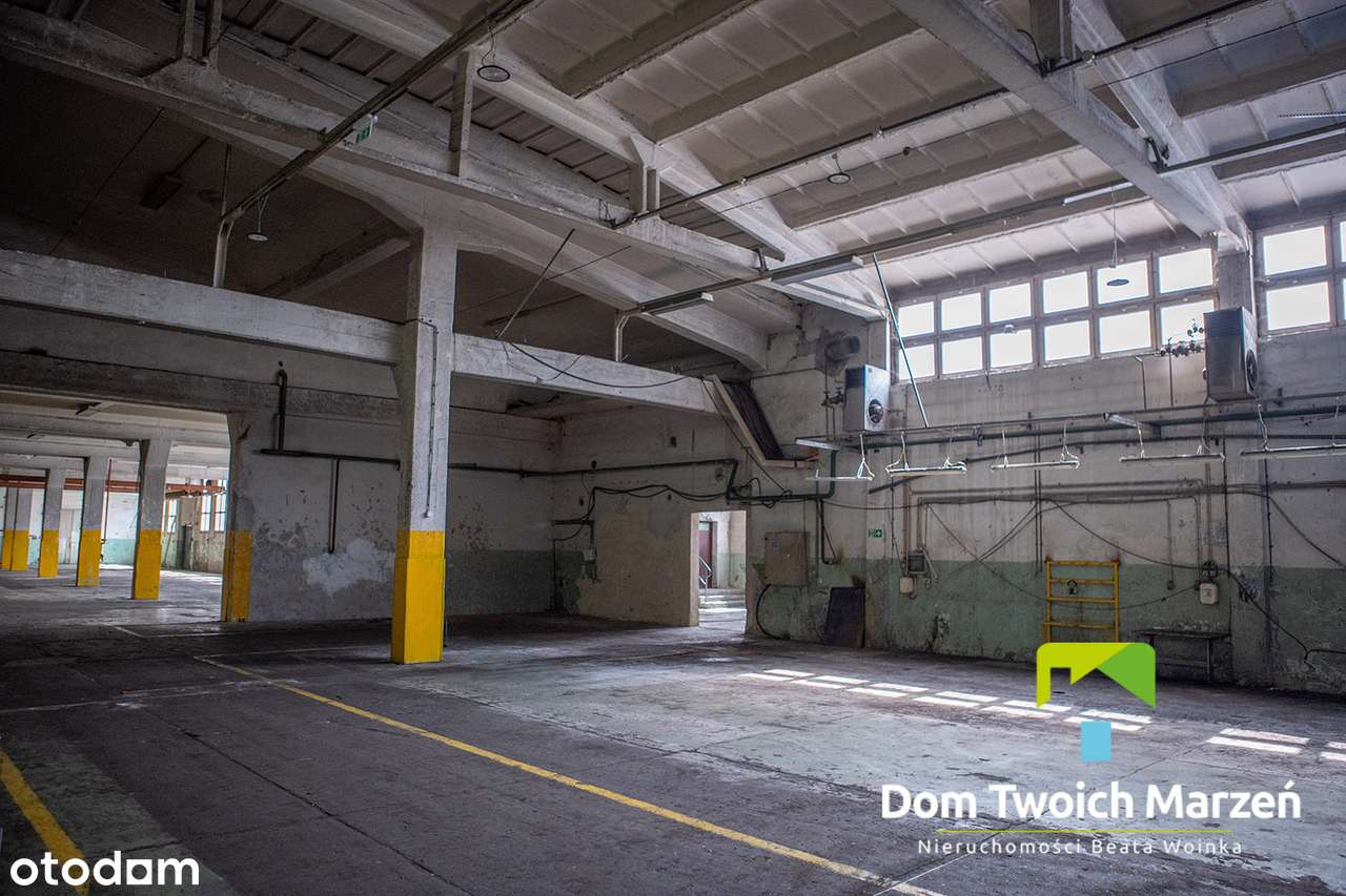 Hala-Magazynowo - Produkcyjna 3100,30m2 Bydgoszcz-6