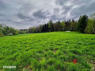 Urokliwa, budowlana działka przy lesie/Radziszów