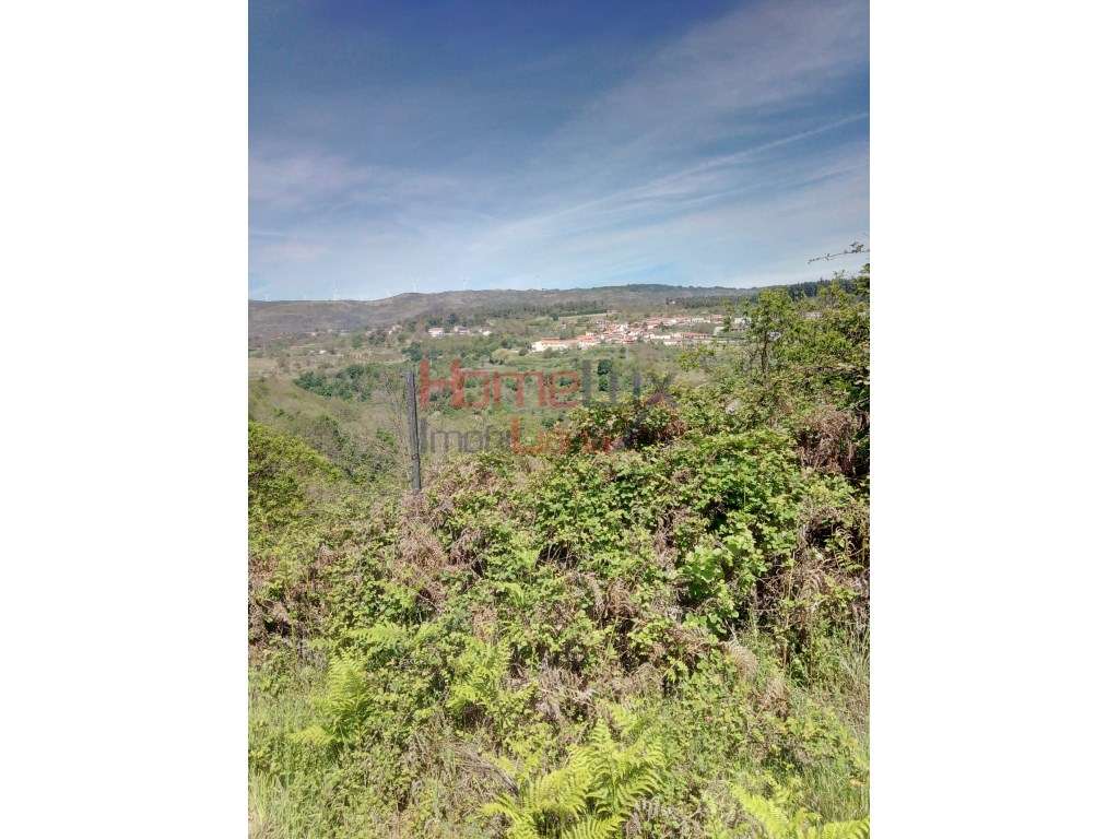Terreno para venda em Lamego. - Grande imagem: 4/13