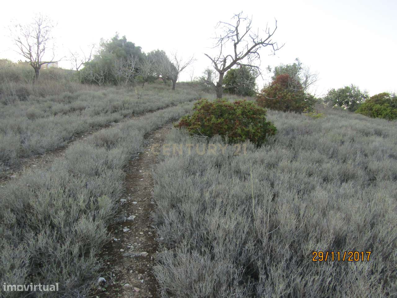 Terreno Rústico - Paderne - Grande imagem: 3/5