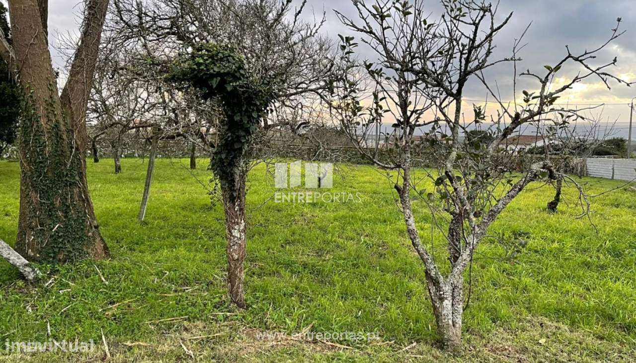 Venda de terreno para construção com 3788m², Areosa, Viana do Caste - Grande imagem: 3/30