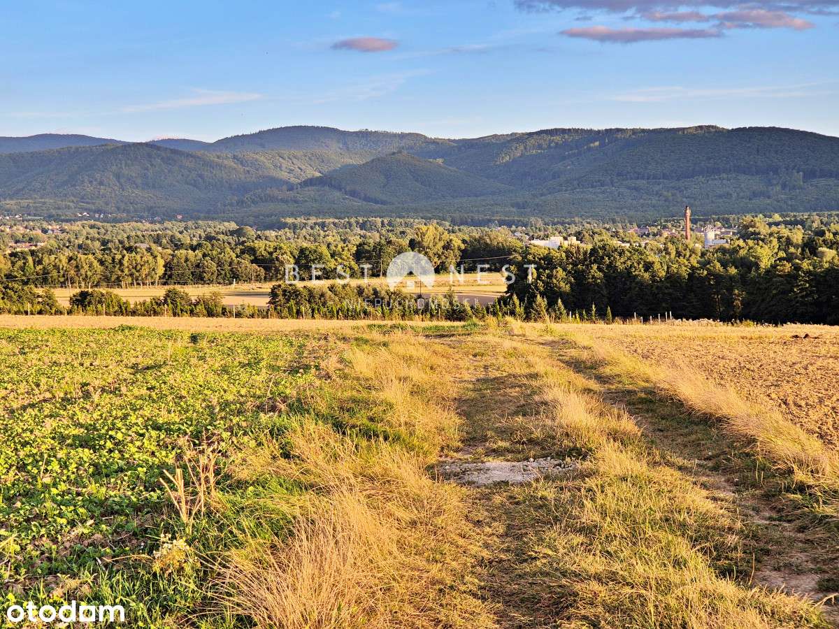Atrakcyjne działki w Jasienicy, pod wymarzony dom - Pełny obrazek: 1/6