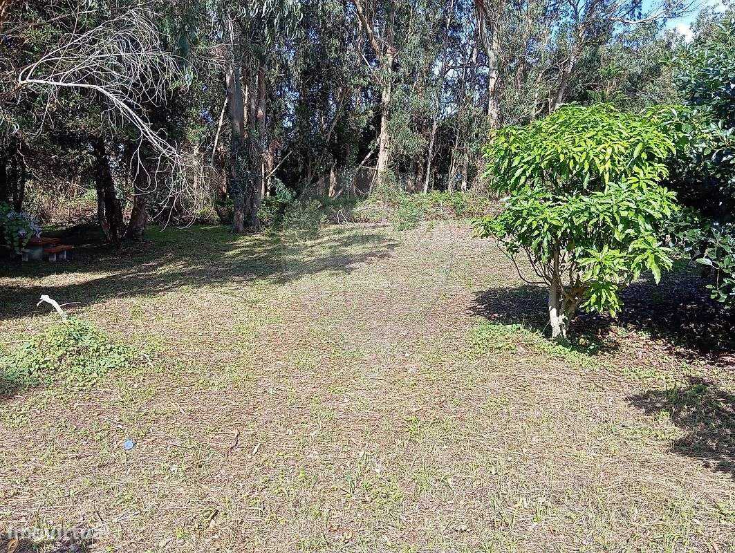 Quinta  para venda - Grande imagem: 5/10