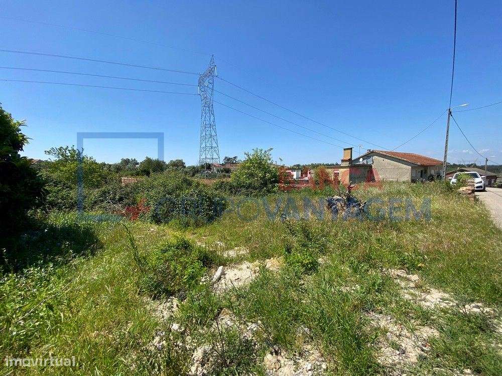 Terreno p/ moradia, para venda, Anadia - Amoreira da Gândara, Pared... - Grande imagem: 2/7