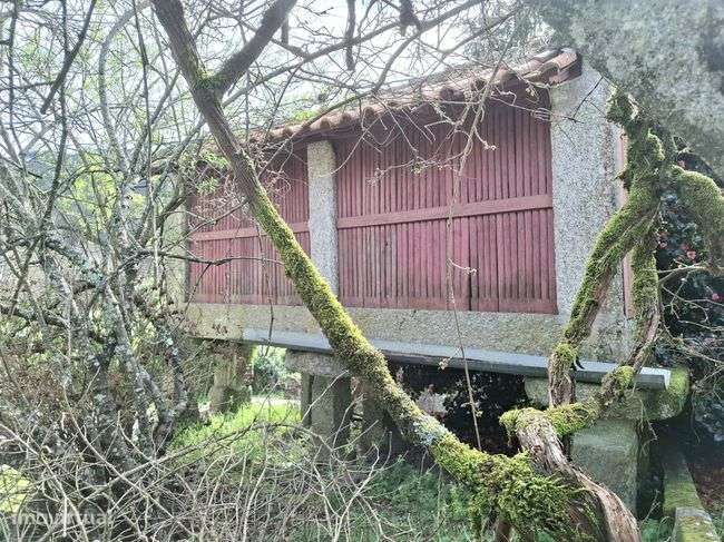 CONJUNTO DE 3 MORADIAS em Rossas, Vieira do Minho, Braga-8