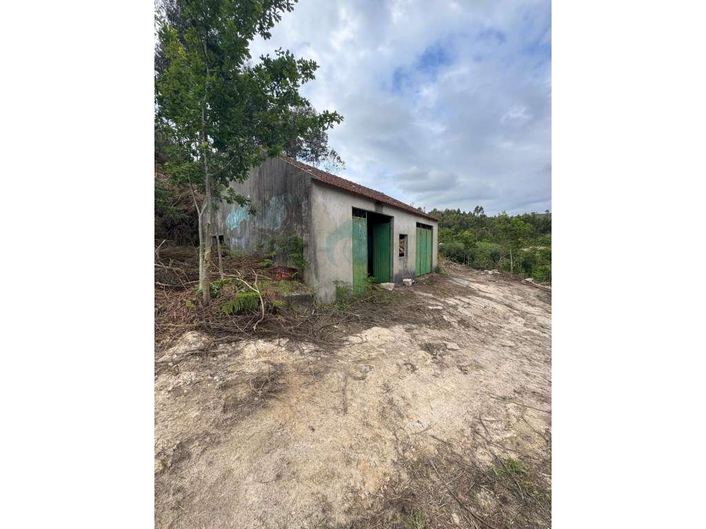 Quinta com Potencial em Marco de Canaveses-23