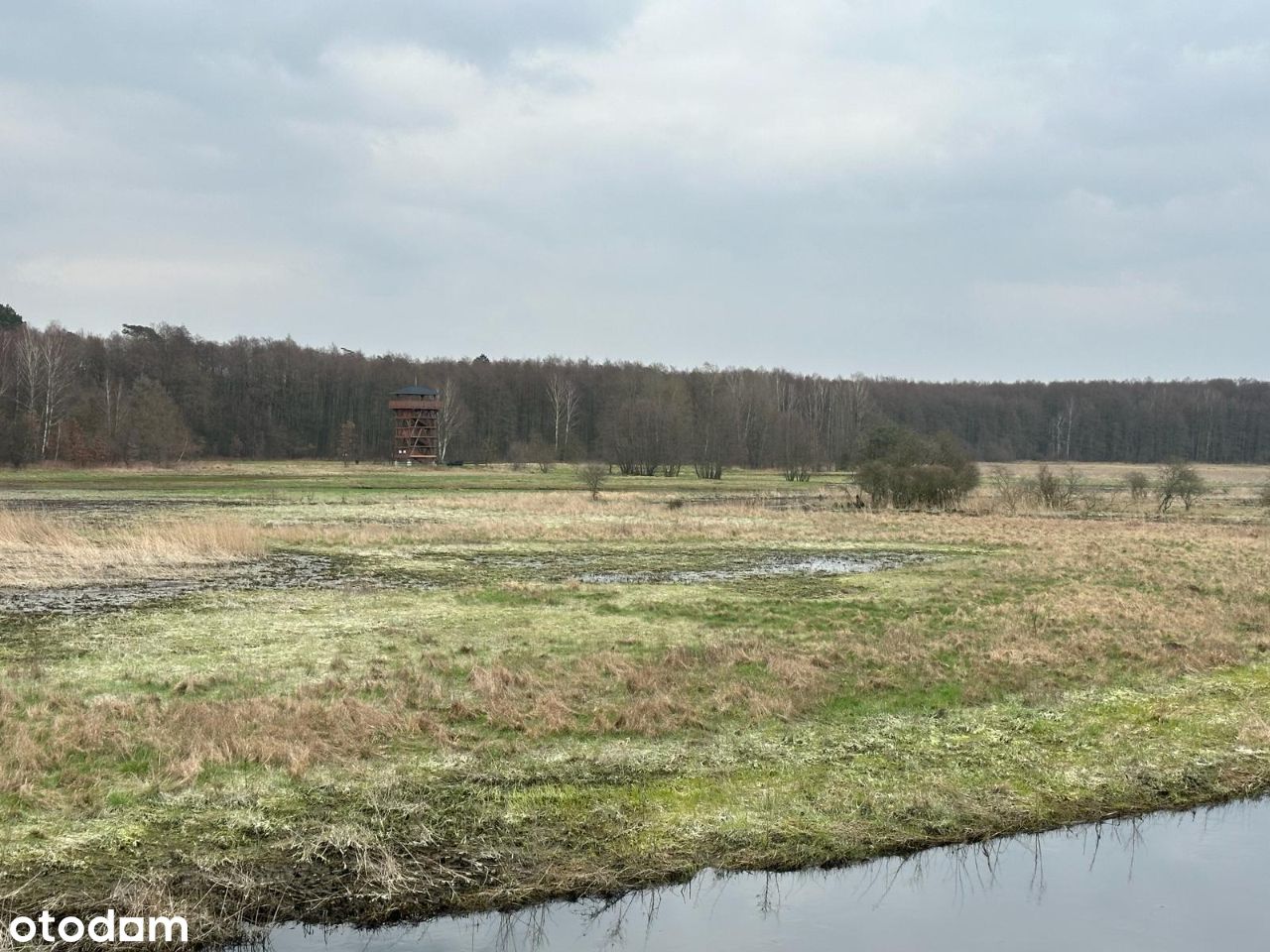 Działka 1500 m.kw. w sercu Puszczy Goleniowskiej