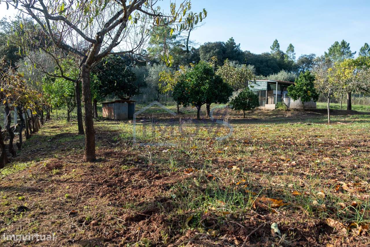 Propriedade com 2 Habitações, Anexo e Poço – Oportunidade Única em Fer-40