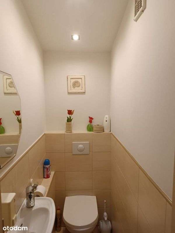 Dom, 160 m², Poznań-16