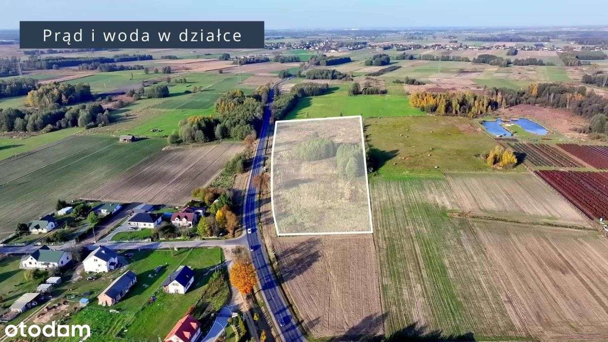 Potencjał, którego nie znajdziesz nigdzie indziej! - Pełny obrazek: 5/10