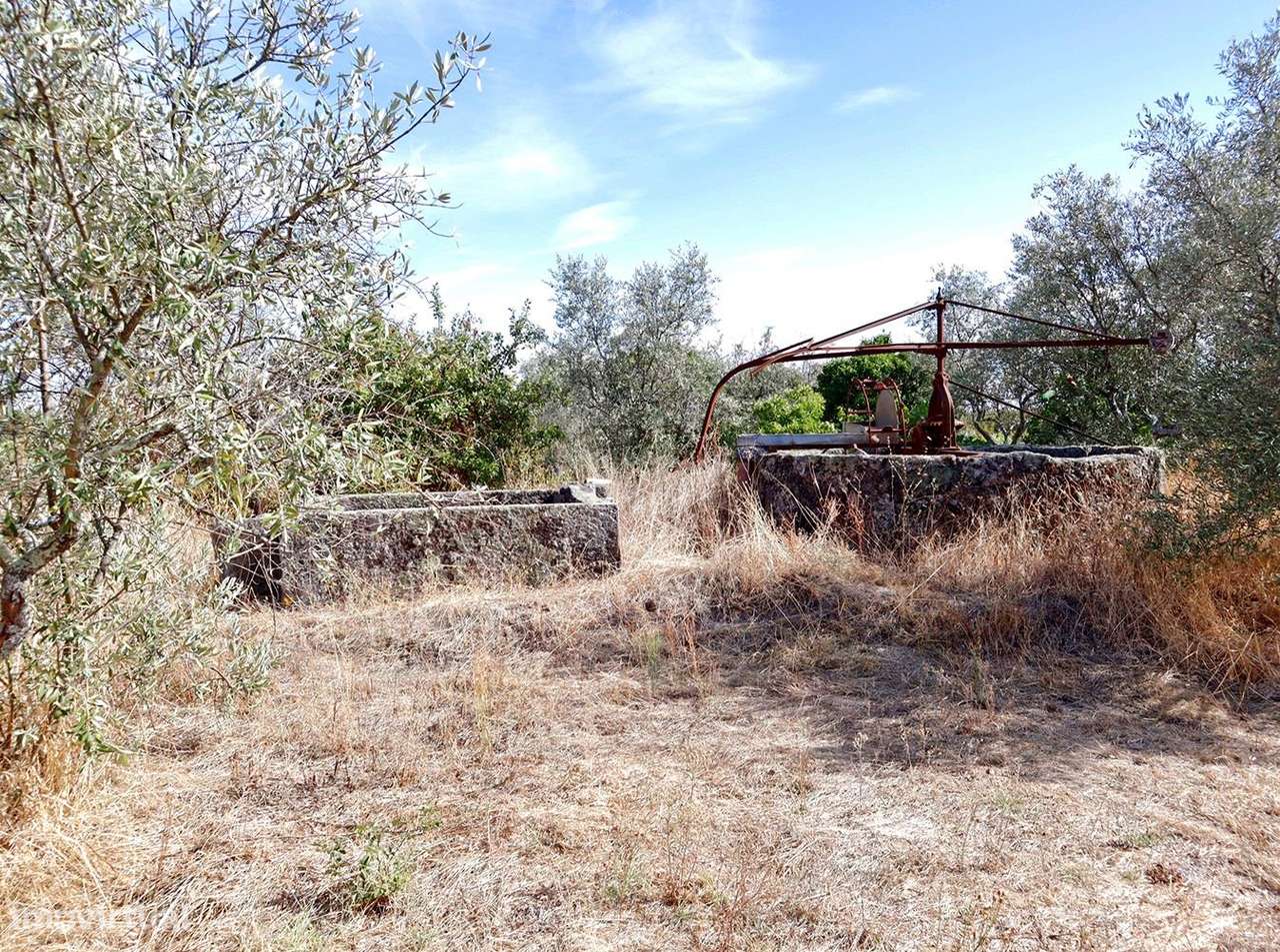 Terreno - Grande imagem: 3/12