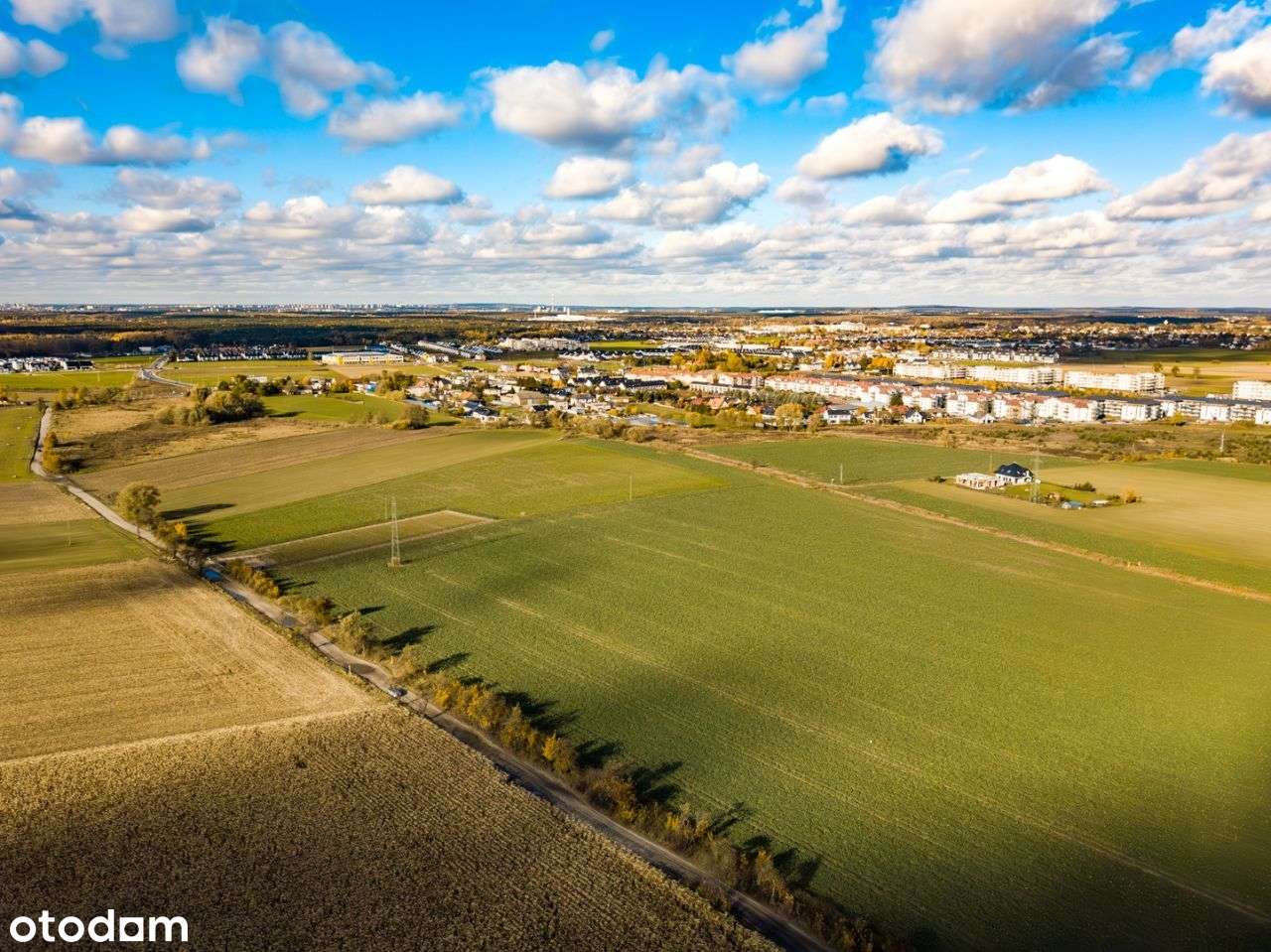Zalasewo, ulica Spacerowa Nowy podział-7