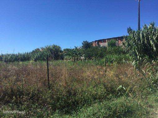 Terreno Rústico em zona urbana para construção. - Grande imagem: 5/5